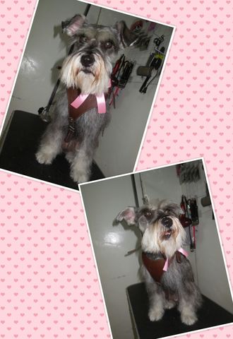 Atena