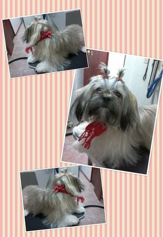 Moly